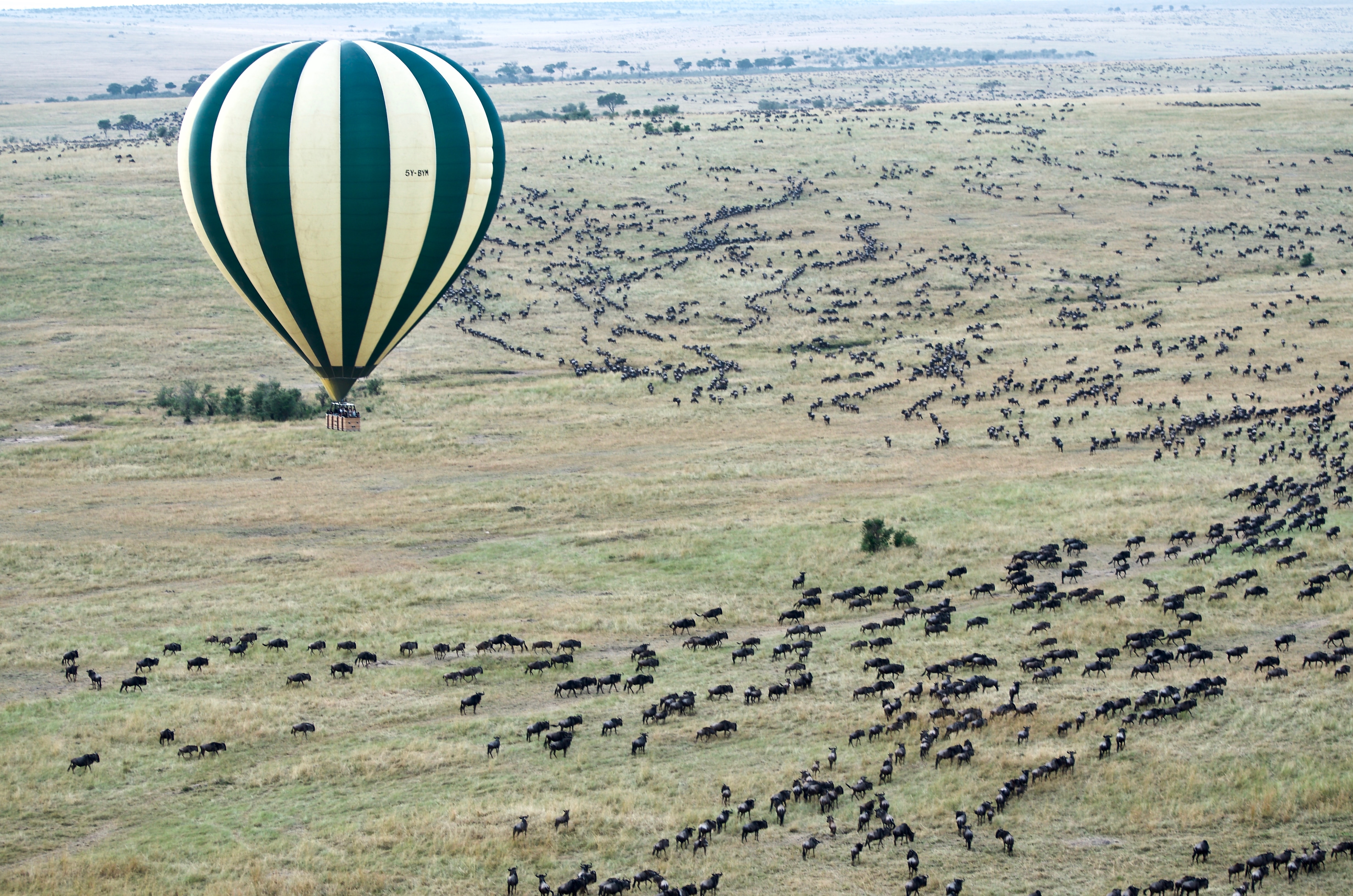 14-Day The Best Taste of Wildlife Culture and Beach - TANZANIA SAFARI gallery image